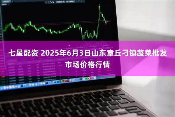 七星配资 2025年6月3日山东章丘刁镇蔬菜批发市场价格行情