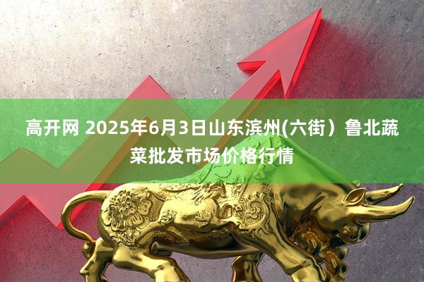 高开网 2025年6月3日山东滨州(六街）鲁北蔬菜批发市场价格行情