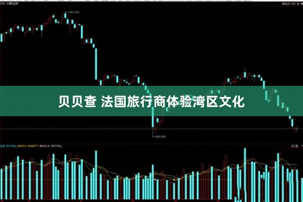 贝贝查 法国旅行商体验湾区文化