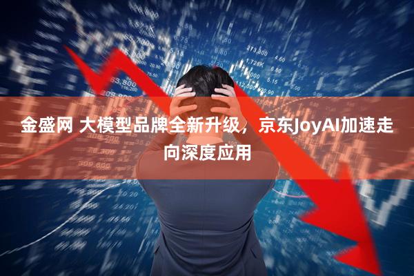 金盛网 大模型品牌全新升级，京东JoyAI加速走向深度应用