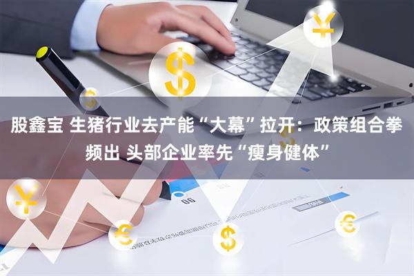 股鑫宝 生猪行业去产能“大幕”拉开：政策组合拳频出 头部企业率先“瘦身健体”