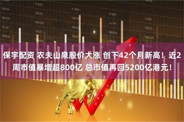 保宇配资 农夫山泉股价大涨 创下42个月新高！近2周市值暴增超800亿 总市值再回5200亿港元！