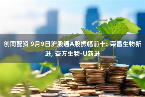 创同配资 9月9日沪股通A股振幅前十: 荣昌生物新进, 益方生物-U新进