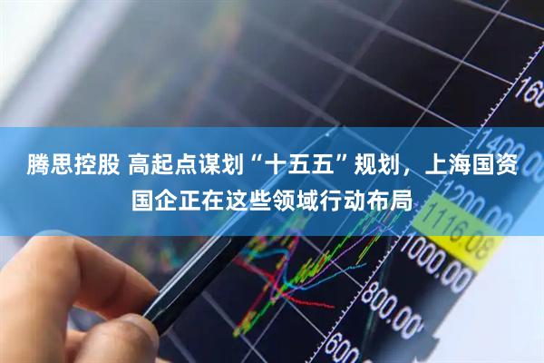 腾思控股 高起点谋划“十五五”规划，上海国资国企正在这些领域行动布局