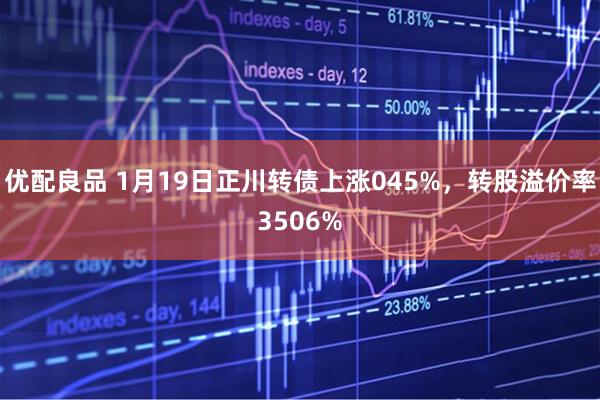 优配良品 1月19日正川转债上涨045%，转股溢价率3506%