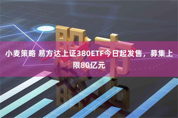 小麦策略 易方达上证380ETF今日起发售，募集上限80亿元